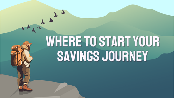 A man wearing a backpack standing at the edge of a cliff staring off into the distance with birds flying above.